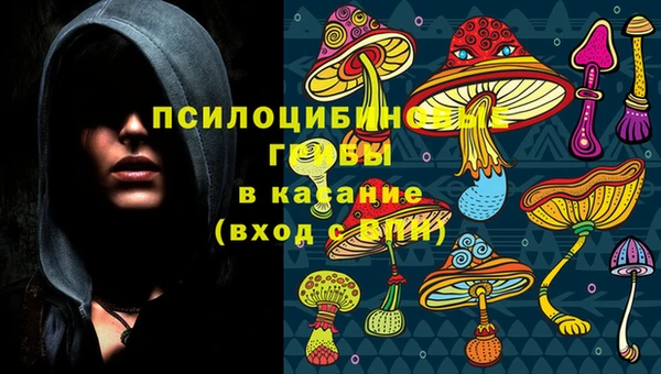 молекула духа Беломорск