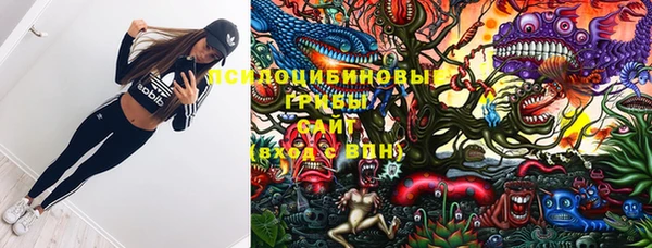 гидра Белоозёрский