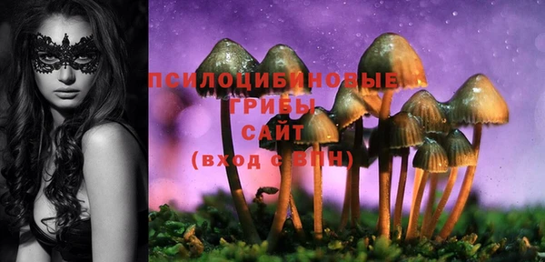 гидра Белоозёрский