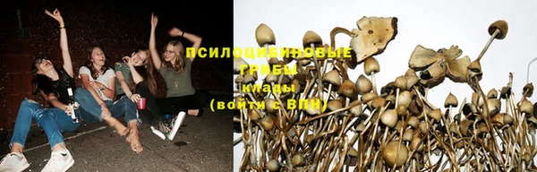 гидра Белоозёрский